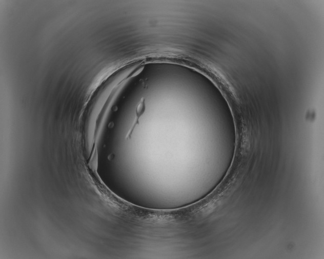 X0000090600978200707311158