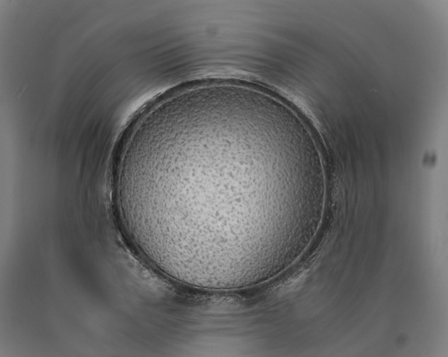 X0000090600979200707311158