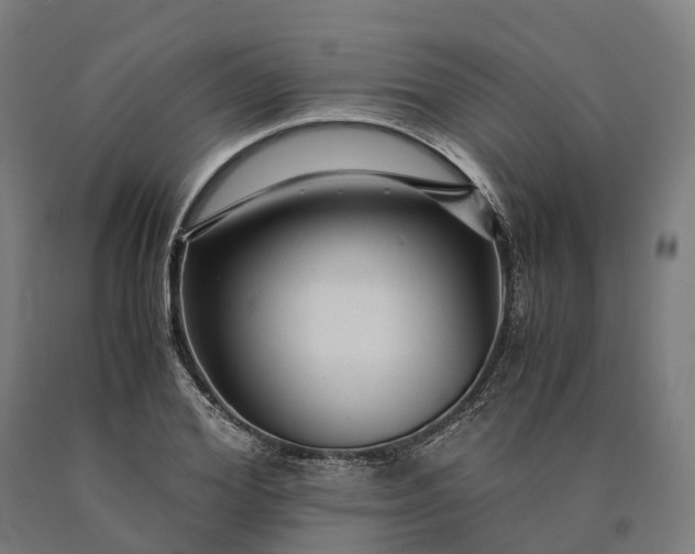 X0000090600980200707311158