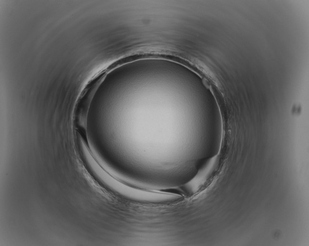 X0000090600981200707311158