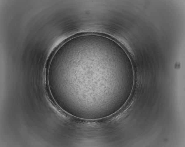 X0000090600982200707311158