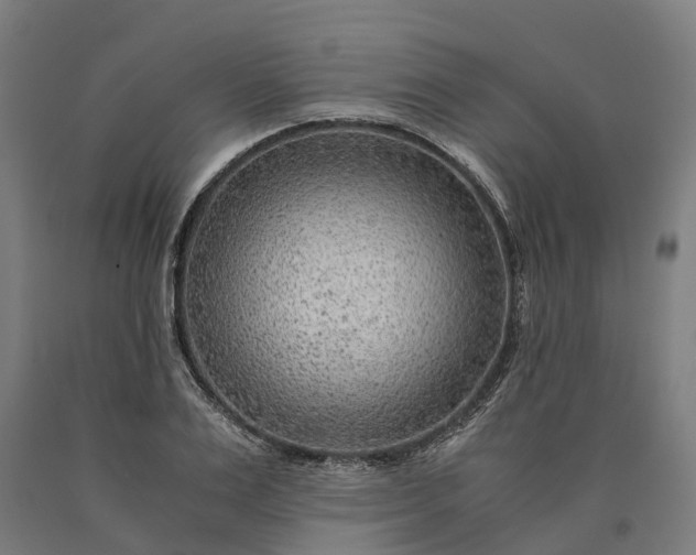 X0000090600983200707311158