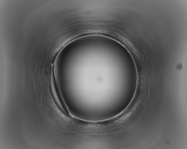 X0000090600985200707311158