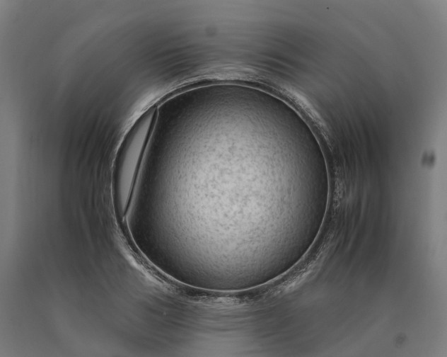 X0000090600986200707311158