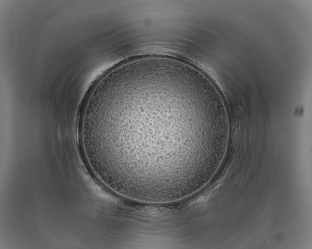 X0000090600987200707311158