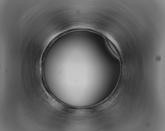 X0000090600988200707311158