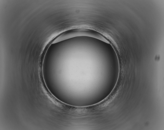 X0000090600989200707311158