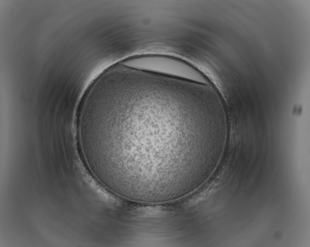 X0000090600990200707311158