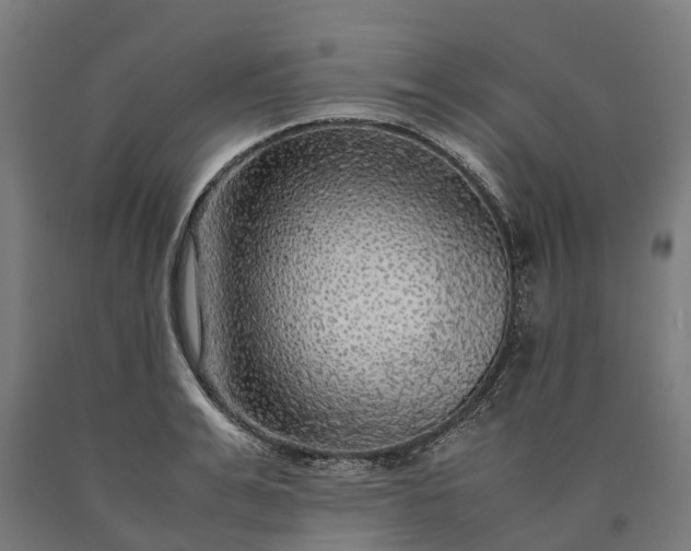 X0000090600991200707311158