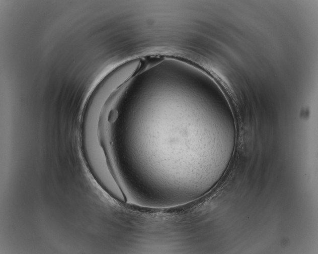 X0000090600992200707311158