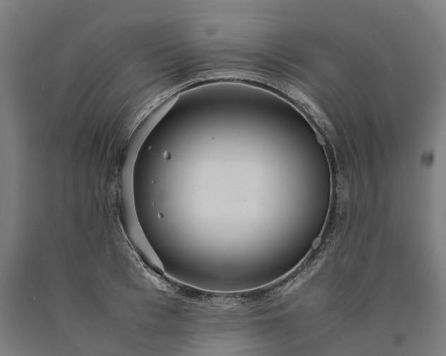 X0000090600993200707311158