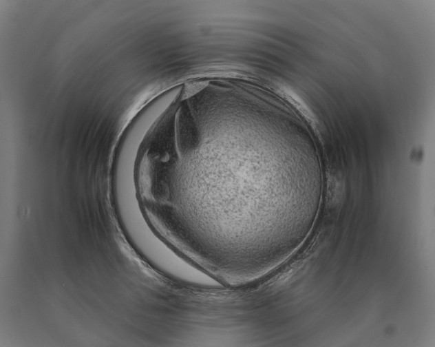 X0000090600994200707311158