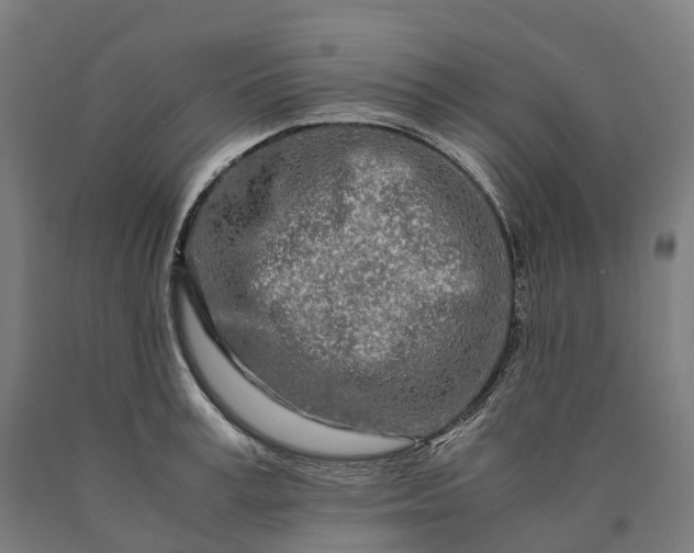 X0000090600995200707311158