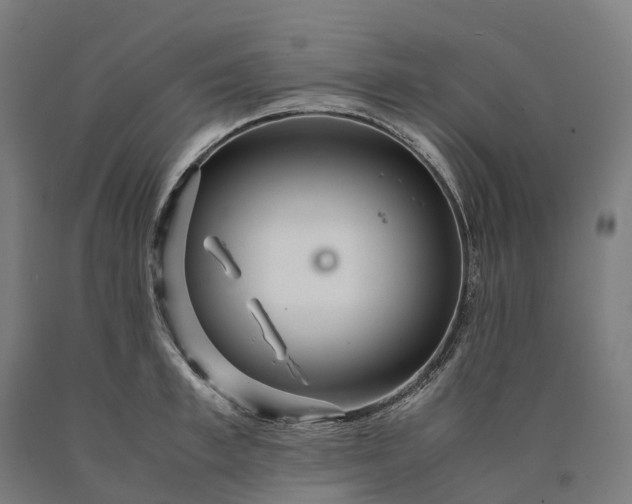 X0000090600997200707311157