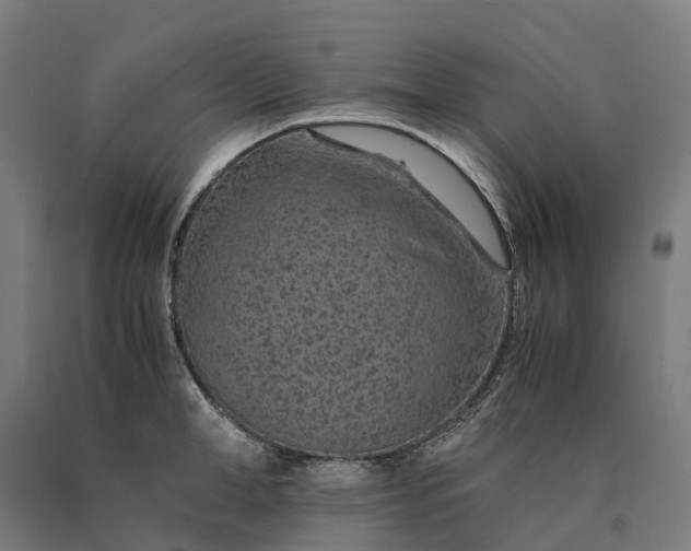 X0000090600998200707311157