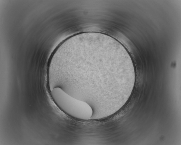 X0000090601000200707311157