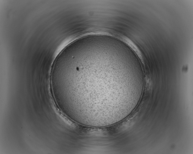 X0000090601002200707311157