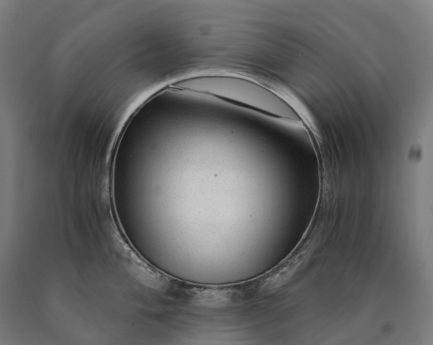 X0000090601004200707311157