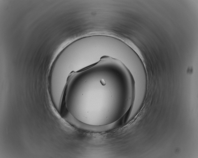 X0000090601005200707311157