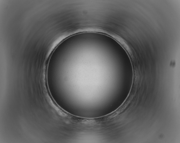 X0000090601006200707311157