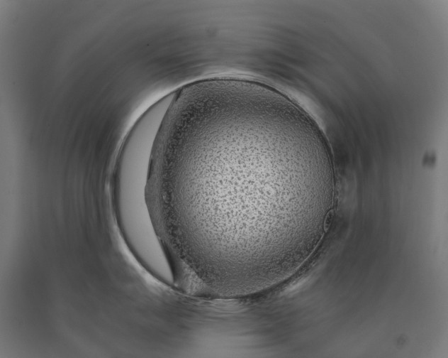 X0000090601007200707311157