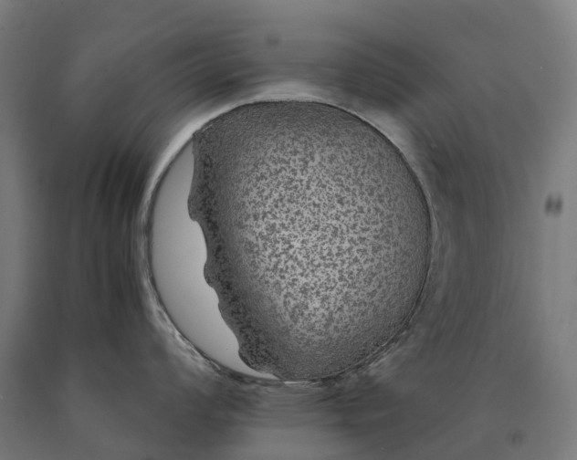 X0000090601008200707311157