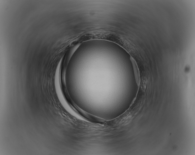 X0000090601010200707311157