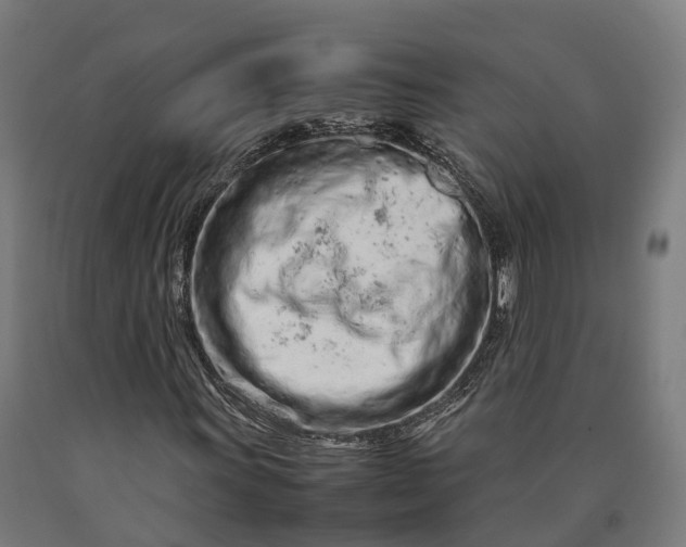 X0000090601011200707311157