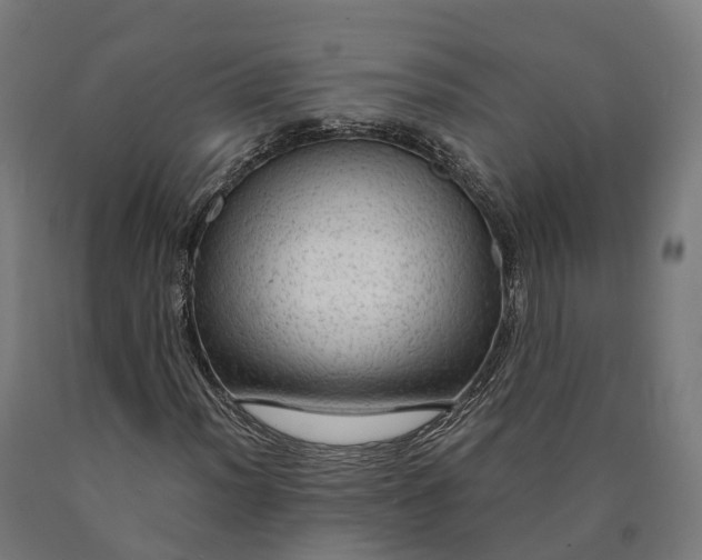 X0000090601012200707311157