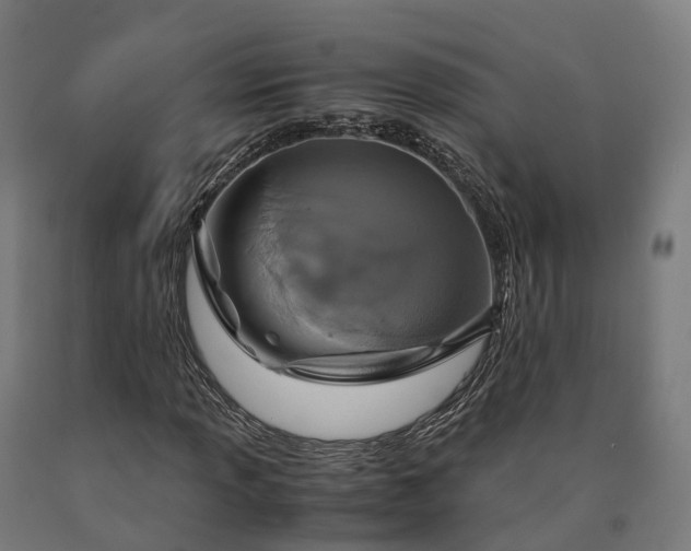 X0000090601013200707311157