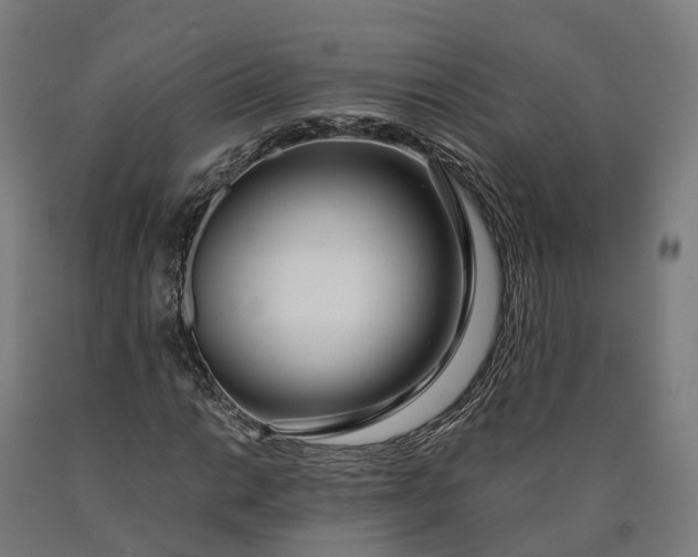 X0000090601014200707311157