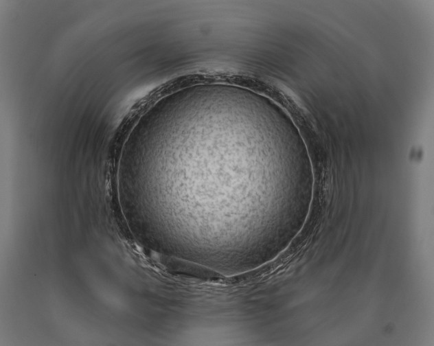 X0000090601016200707311157