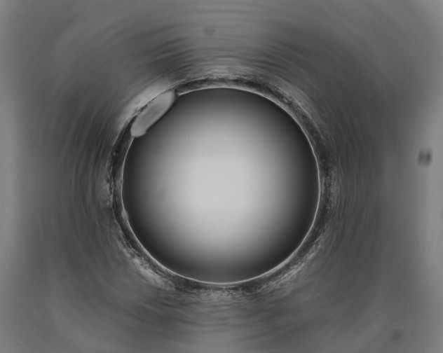 X0000090601018200707311157