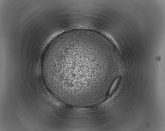 X0000090601019200707311157