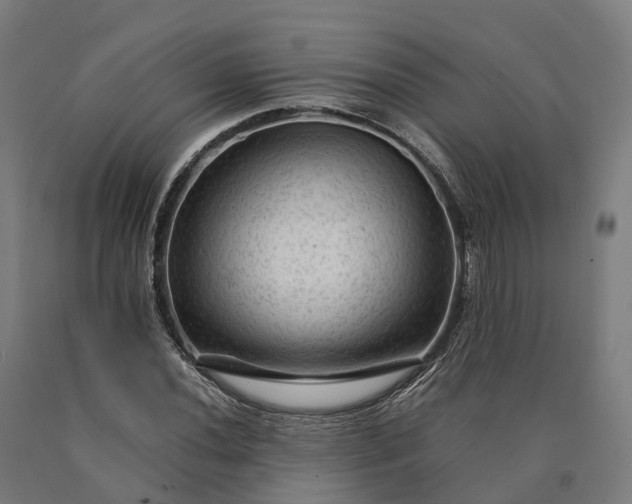 X0000090601020200707311157