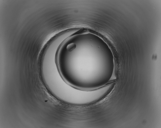 X0000090601022200707311157