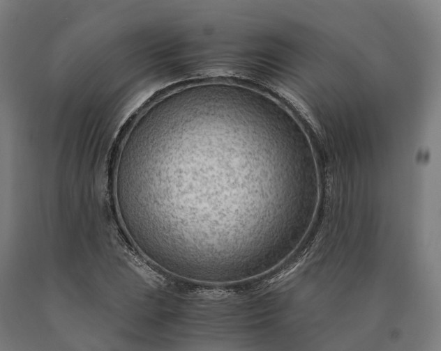 X0000090601023200707311157