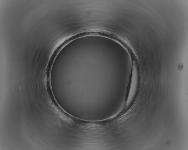 X0000090601024200707311157