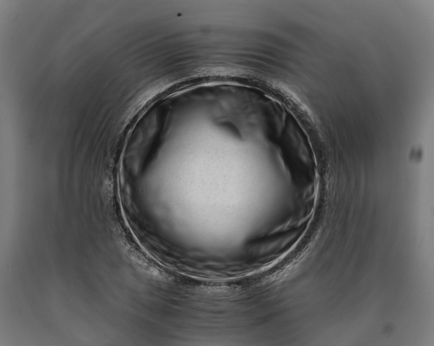 X0000090601025200707311157