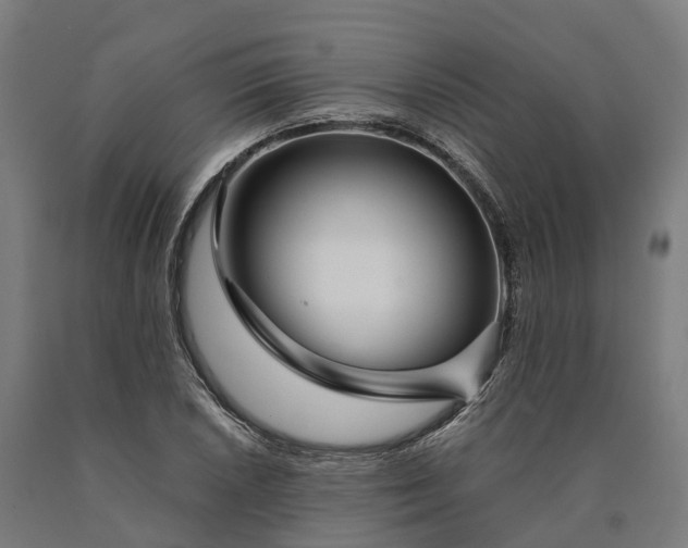 X0000090601026200707311157