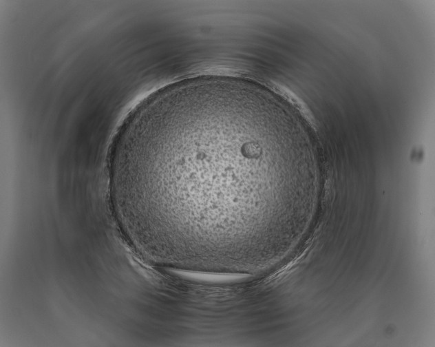 X0000090601027200707311157