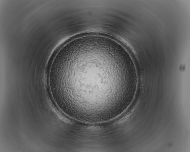 X0000090601029200707311157