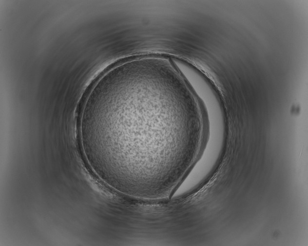 X0000090601031200707311157