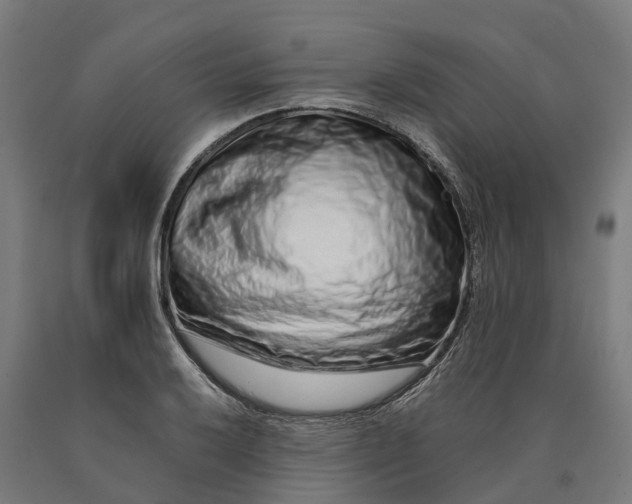 X0000090601032200707311157