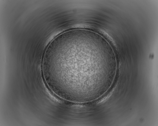 X0000090601033200707311157