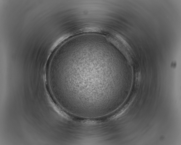 X0000090601034200707311157