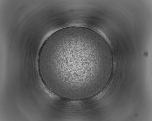 X0000090601035200707311157