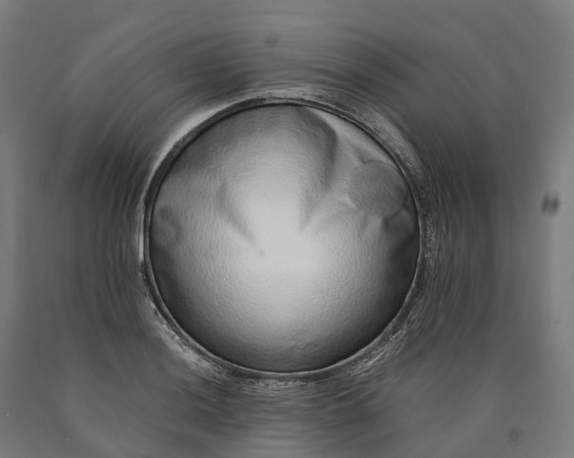 X0000090601036200707311157