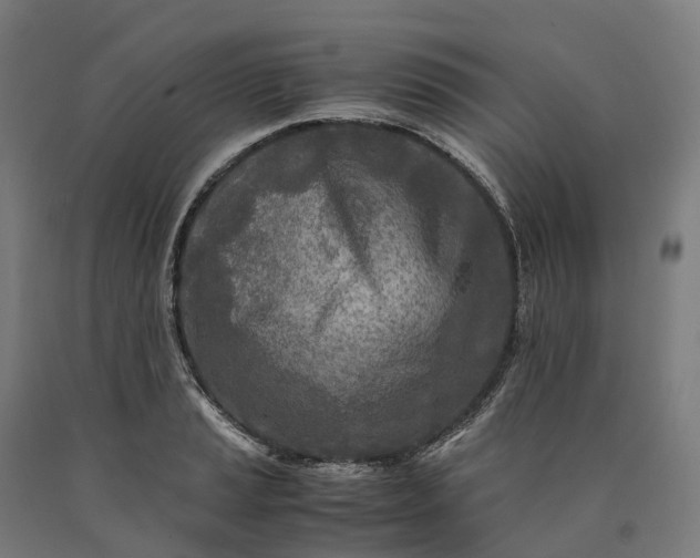 X0000090601037200707311157