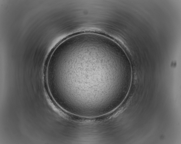 X0000090601038200707311157